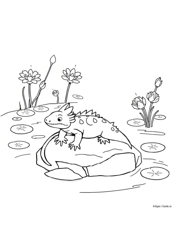 Axolotl Facile Da Colorare