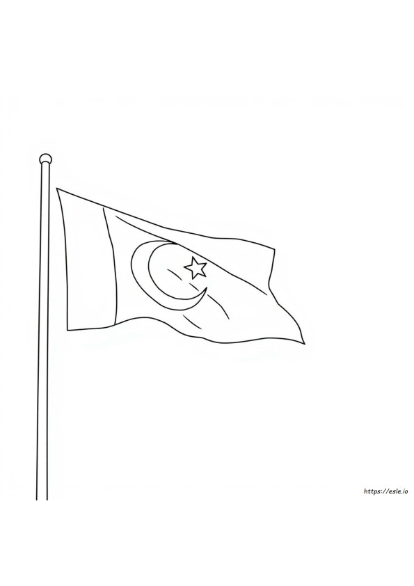Bendera Pakistan Untuk Mewarnai