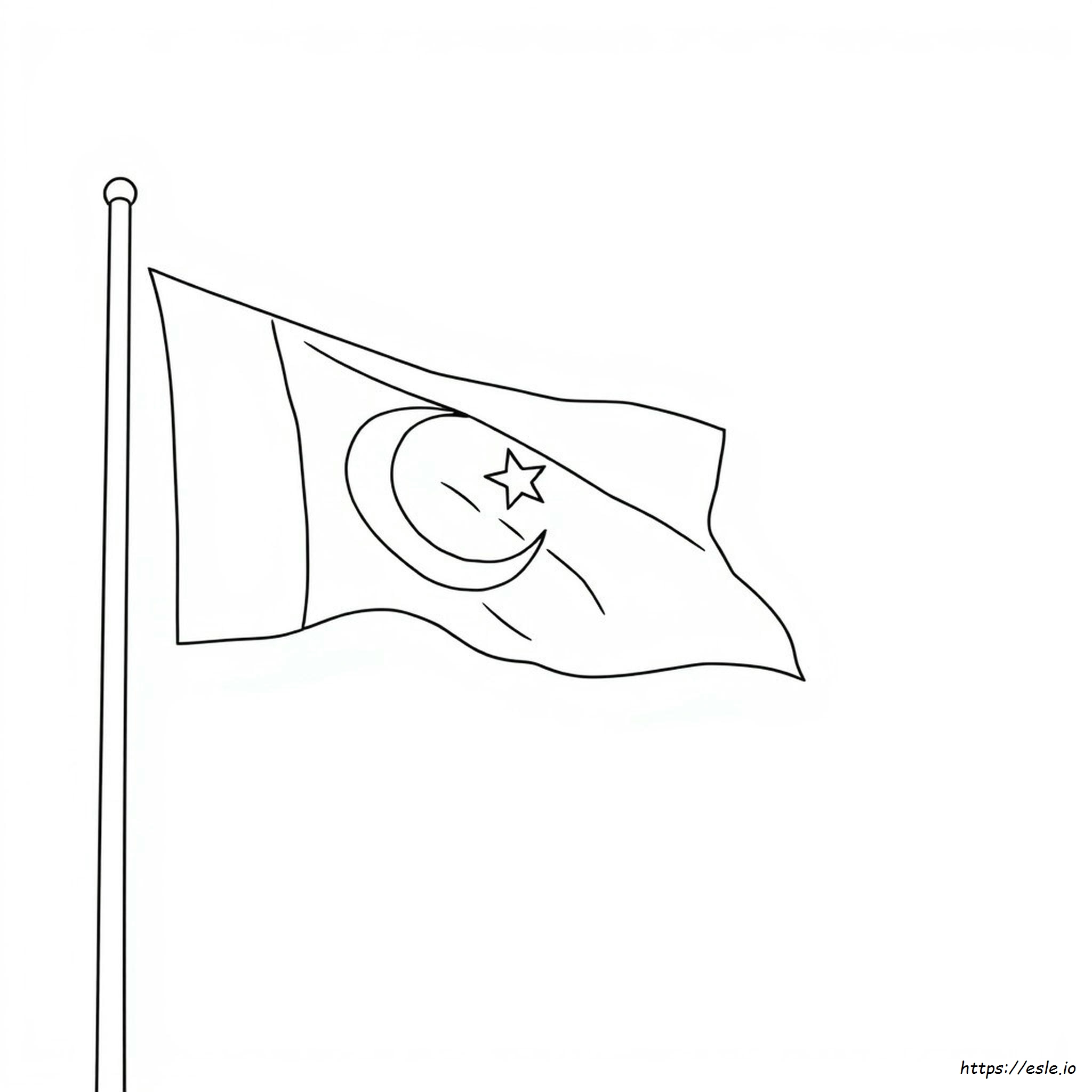 Bandera De Pakistán Para Colorear