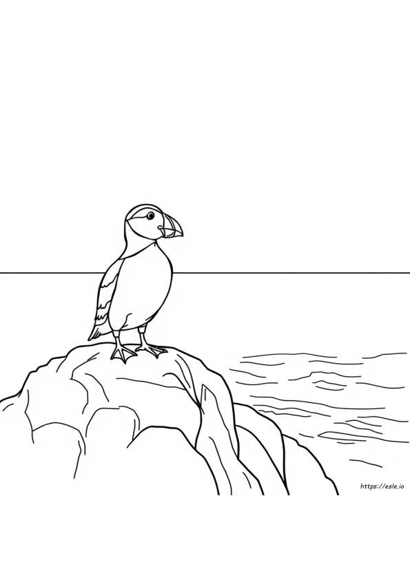 Gambar Mewarnai Burung Puffin
