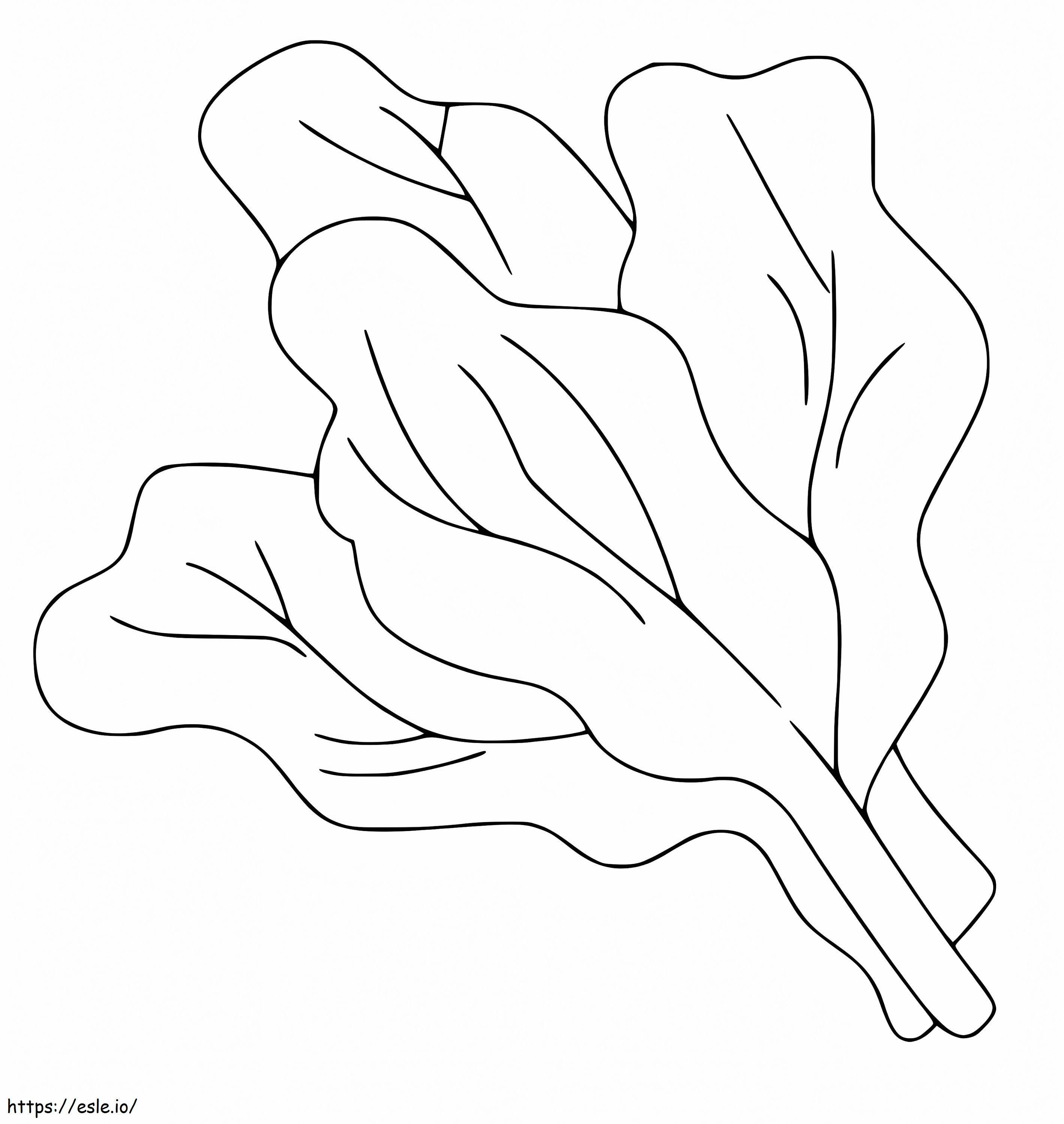 Easy Spinach Coloring Pahe coloring page