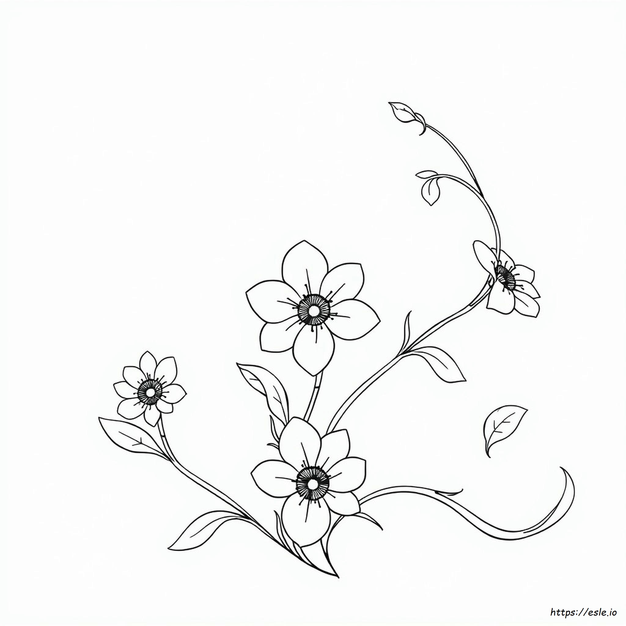 Aesthetic Coloring Book Pages