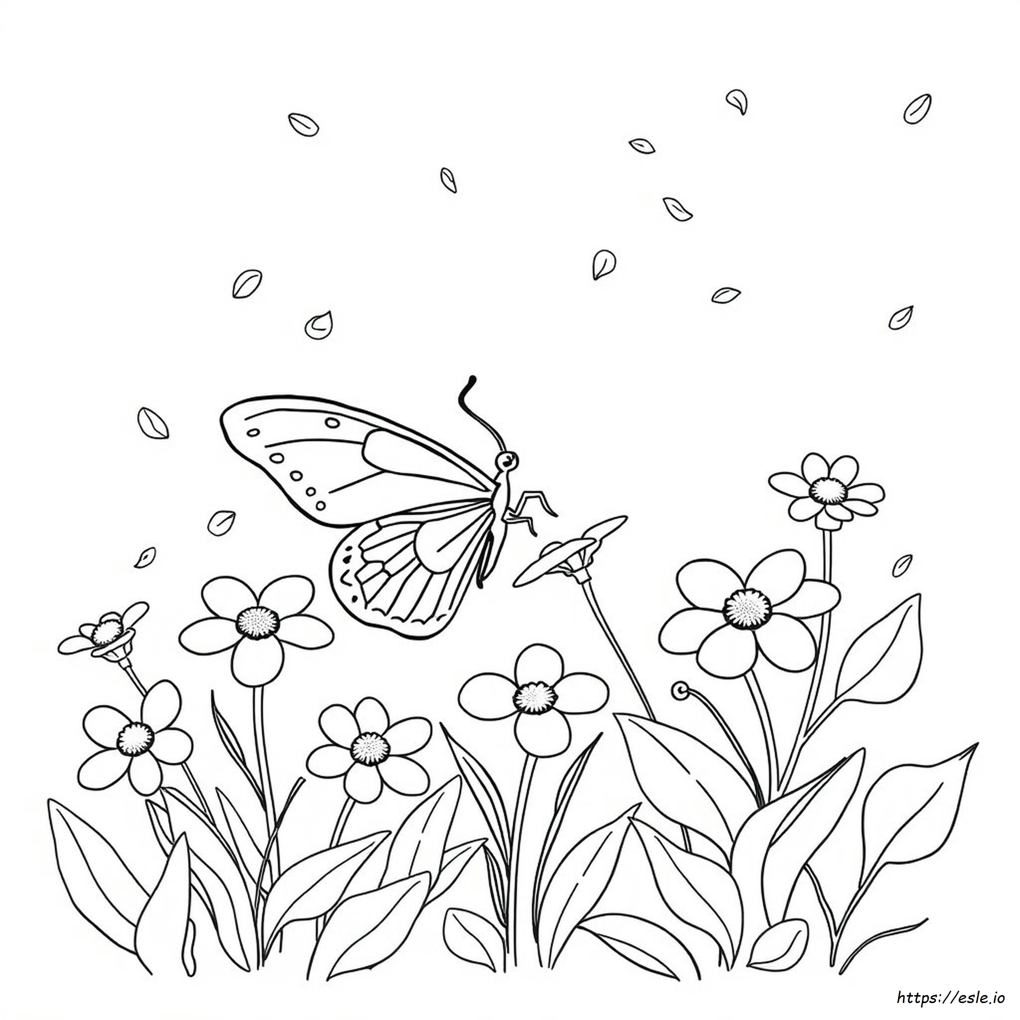 Butterfly Coloring Pages Pinterest