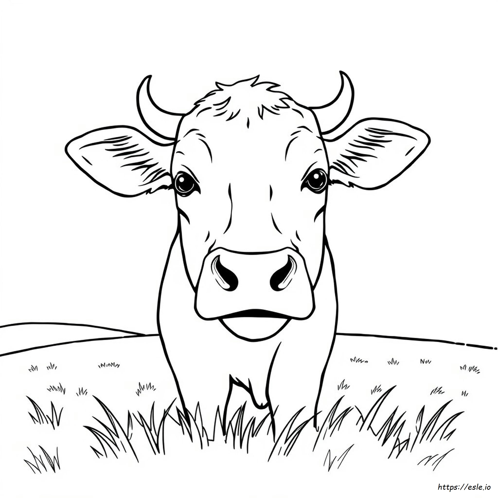 Cow Face Coloring Pages