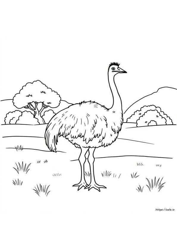 Emu Gambar Mewarnai