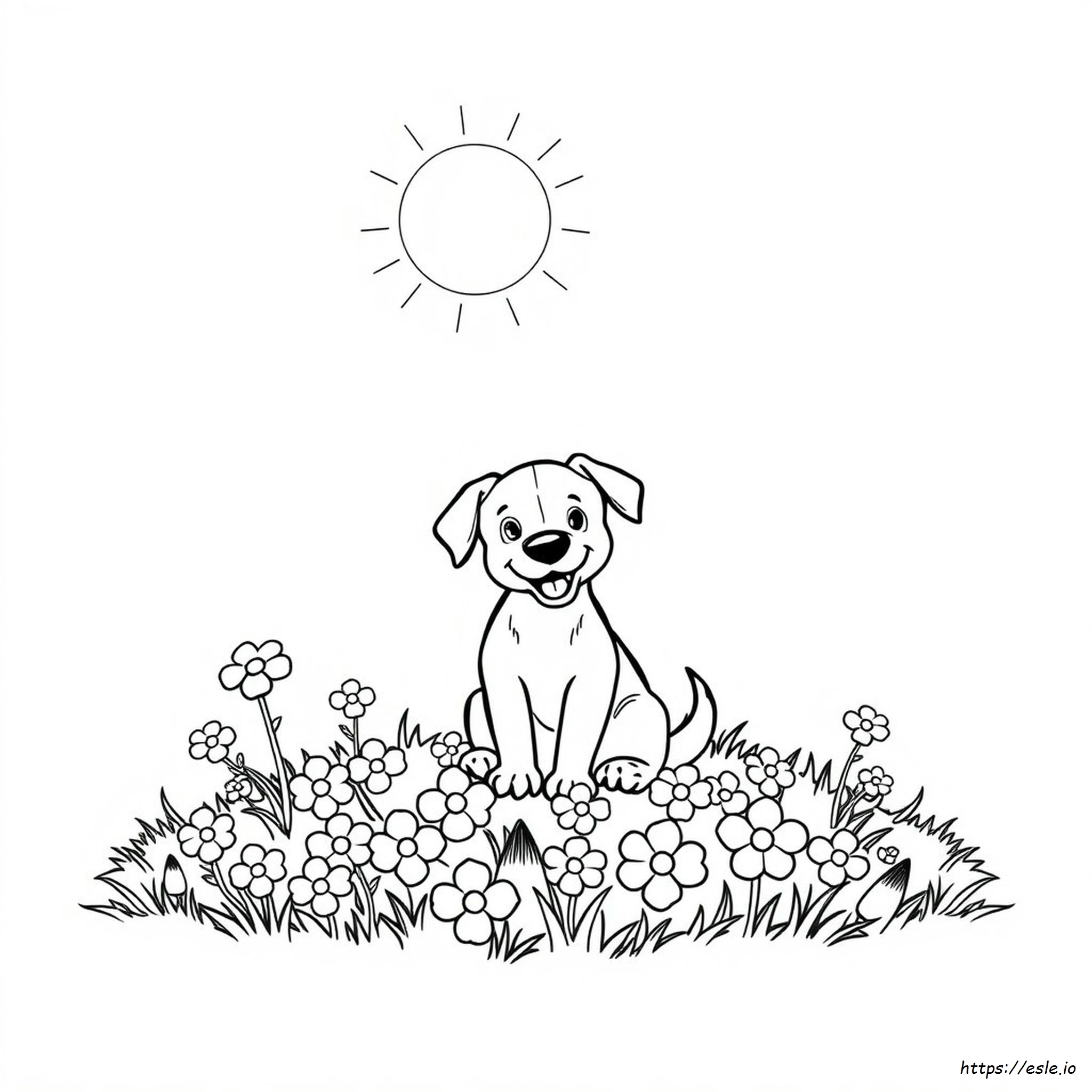 Disegni Di Cani Da Colorare E Stampare