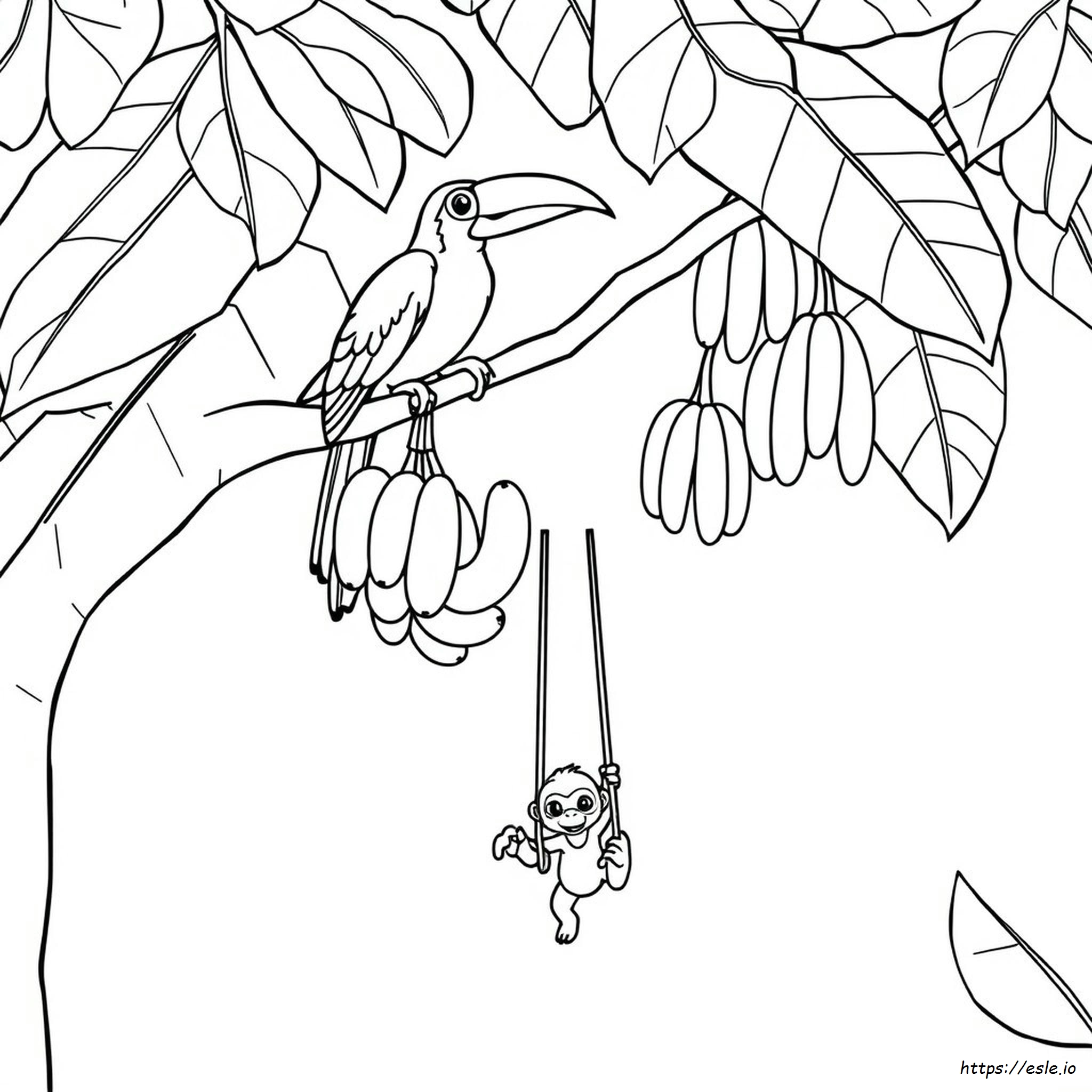 Rainforest Coloring Pages For Preschoolers
