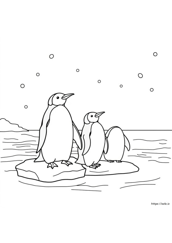 Realistisia Pingviini Värityskuvat