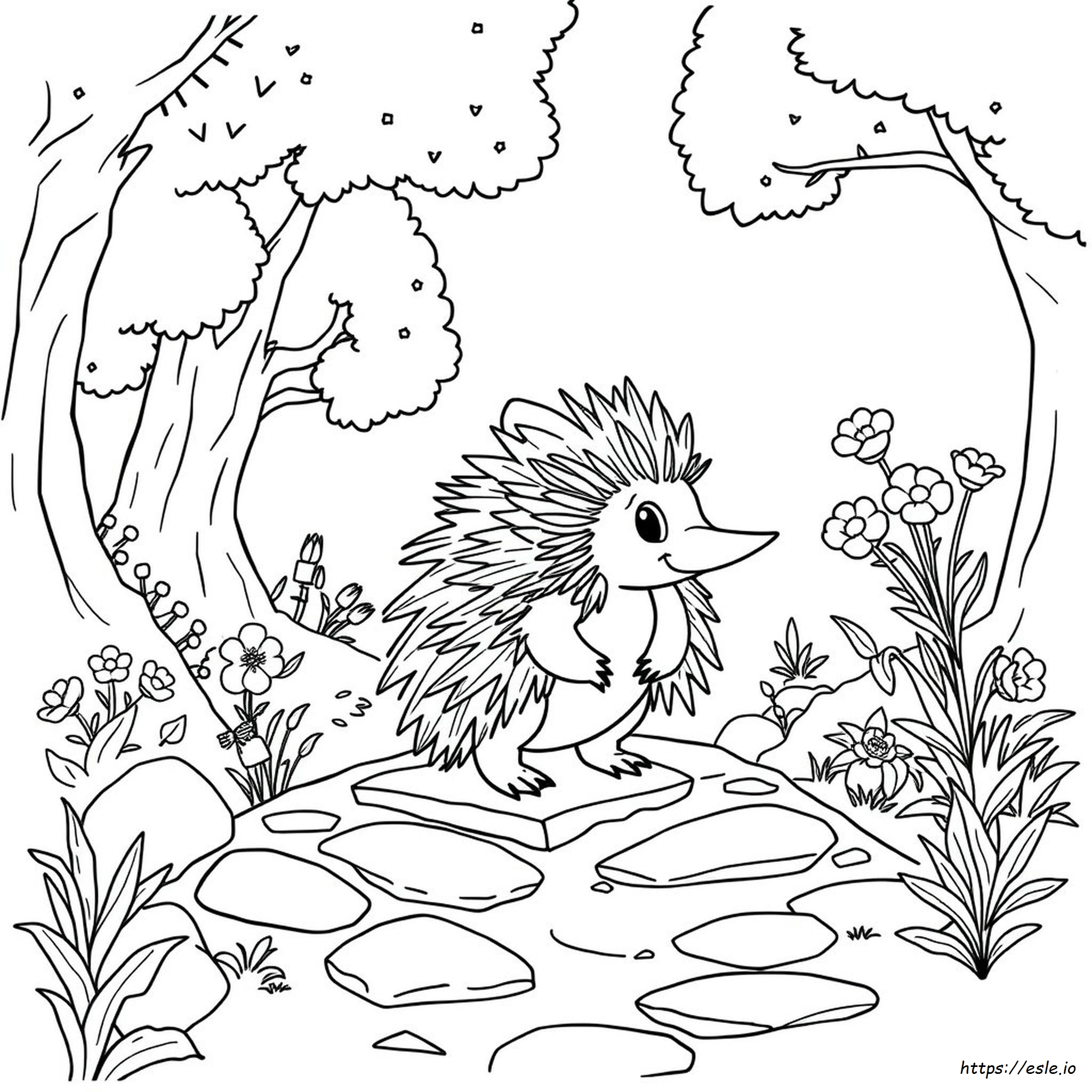 Tikal The Echidna Páginas Para Colorear