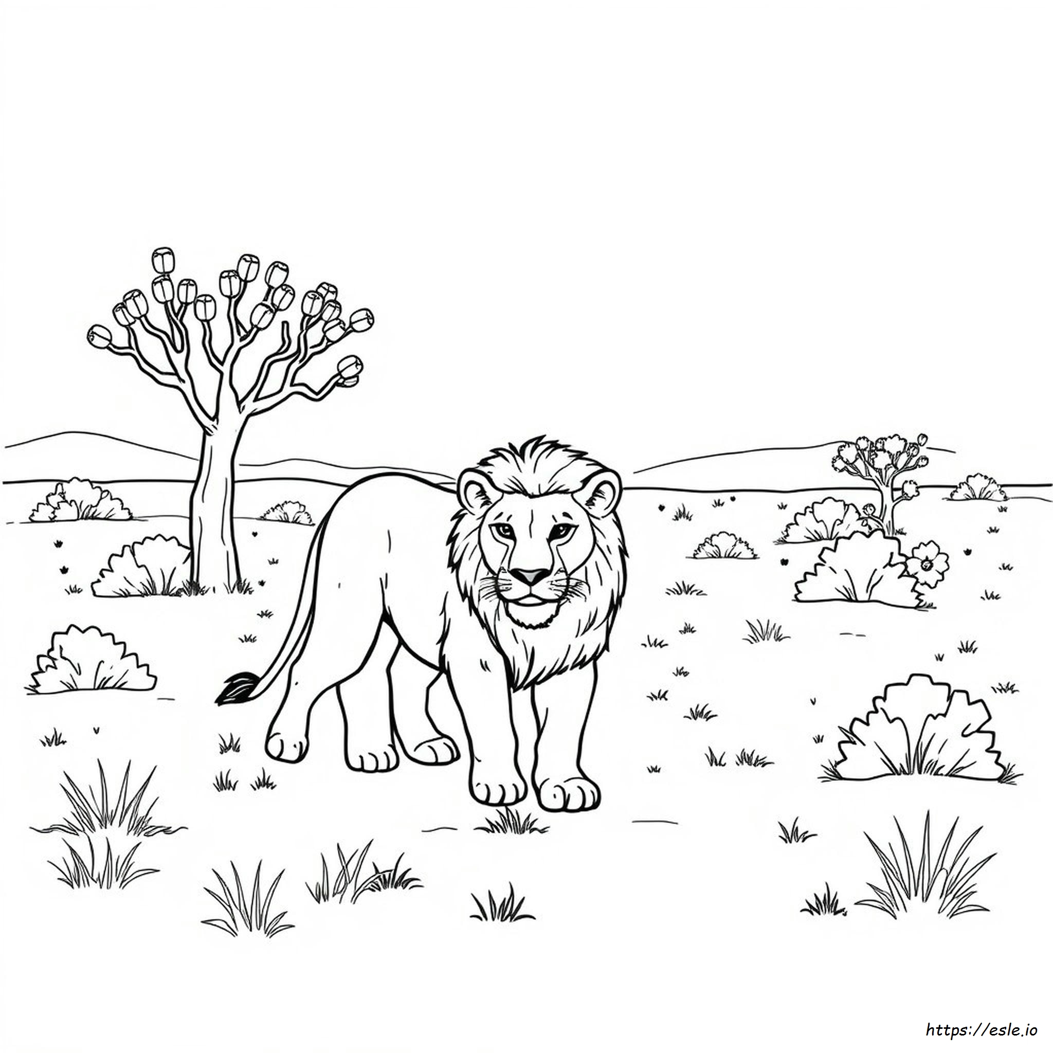 Desene De Colorat Gratuite Cu Animale Sălbatice