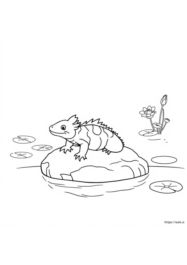 Axolotl Da Colorare