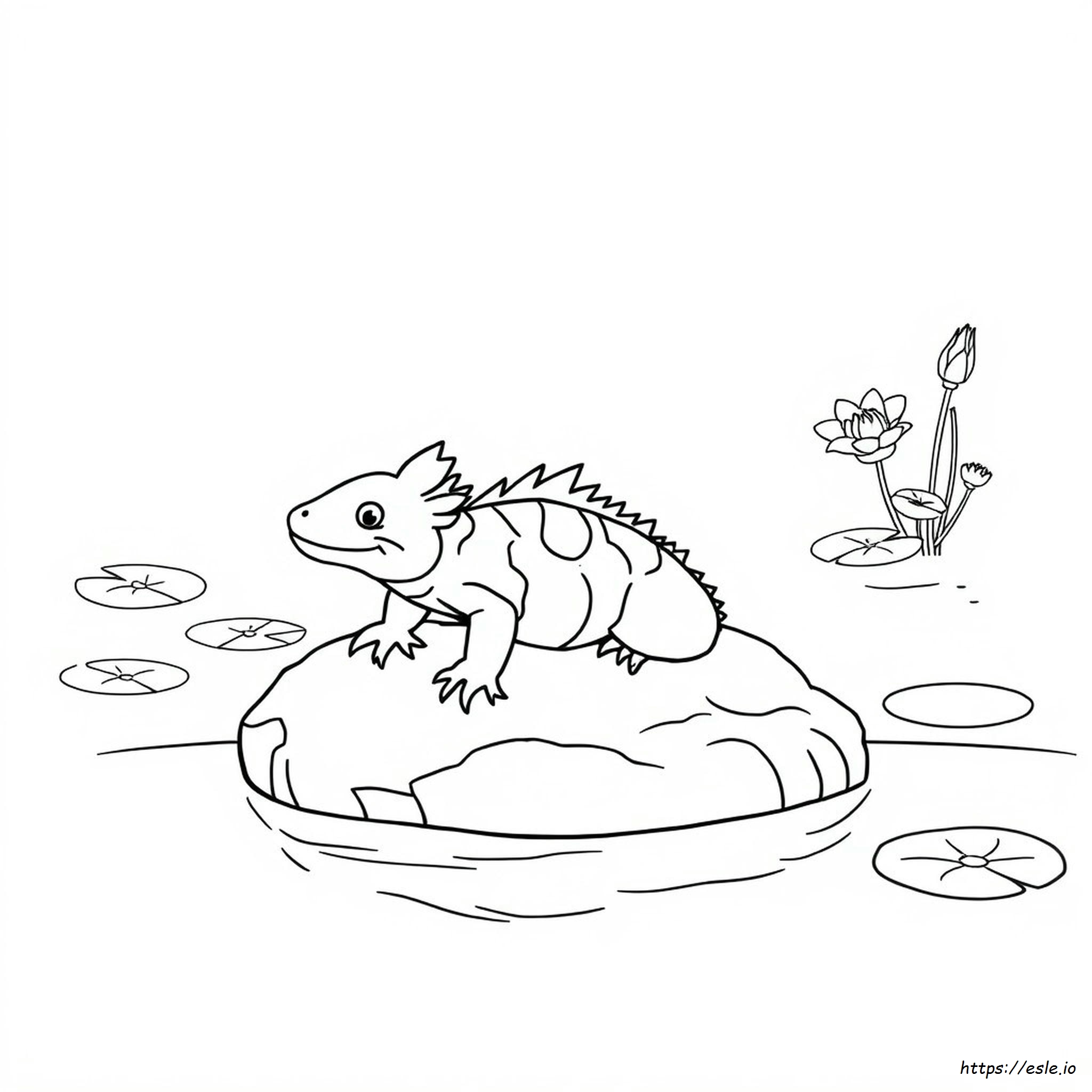 Axolotl De Colorat