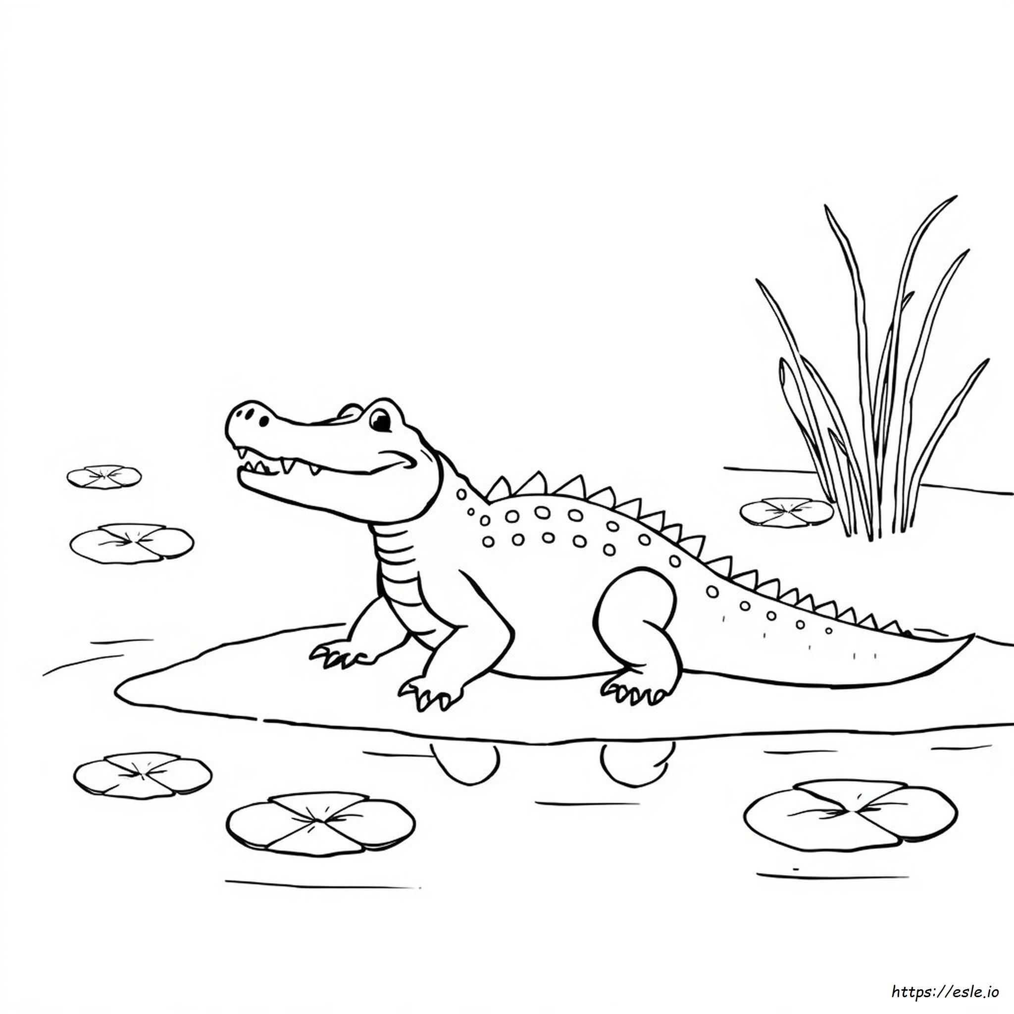 Alligator Coloring Pages Preschool