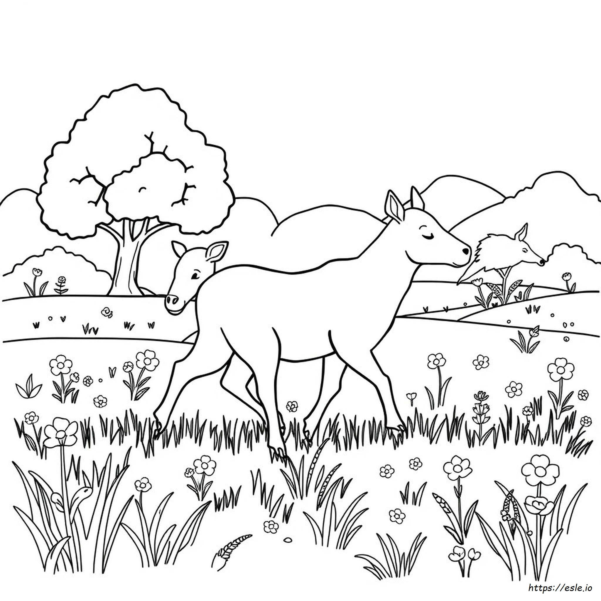 Disegni Da Colorare Di Mammiferi
