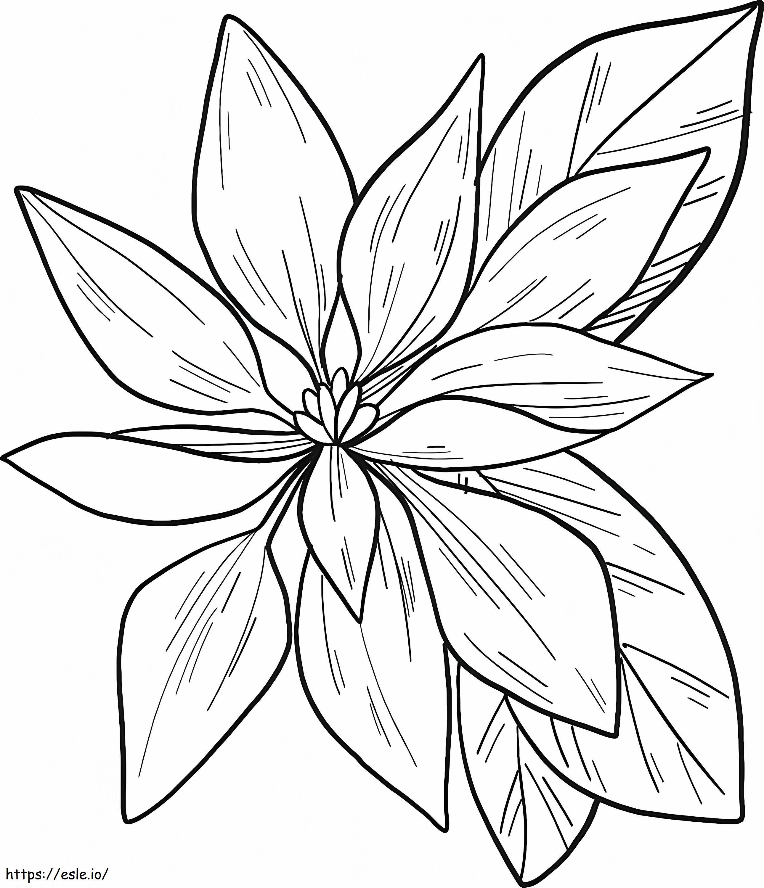 Flor de poinsétia grátis para colorir