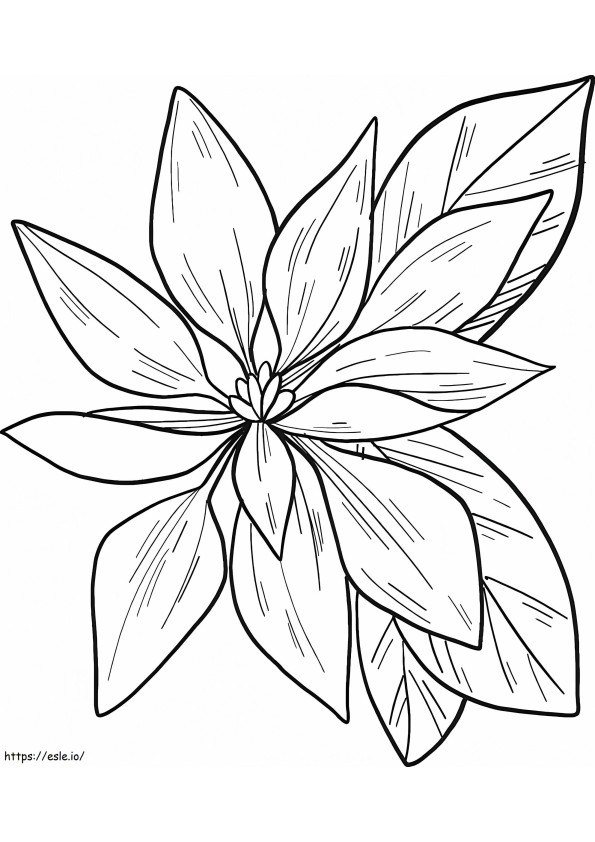 Flor de poinsétia grátis para colorir