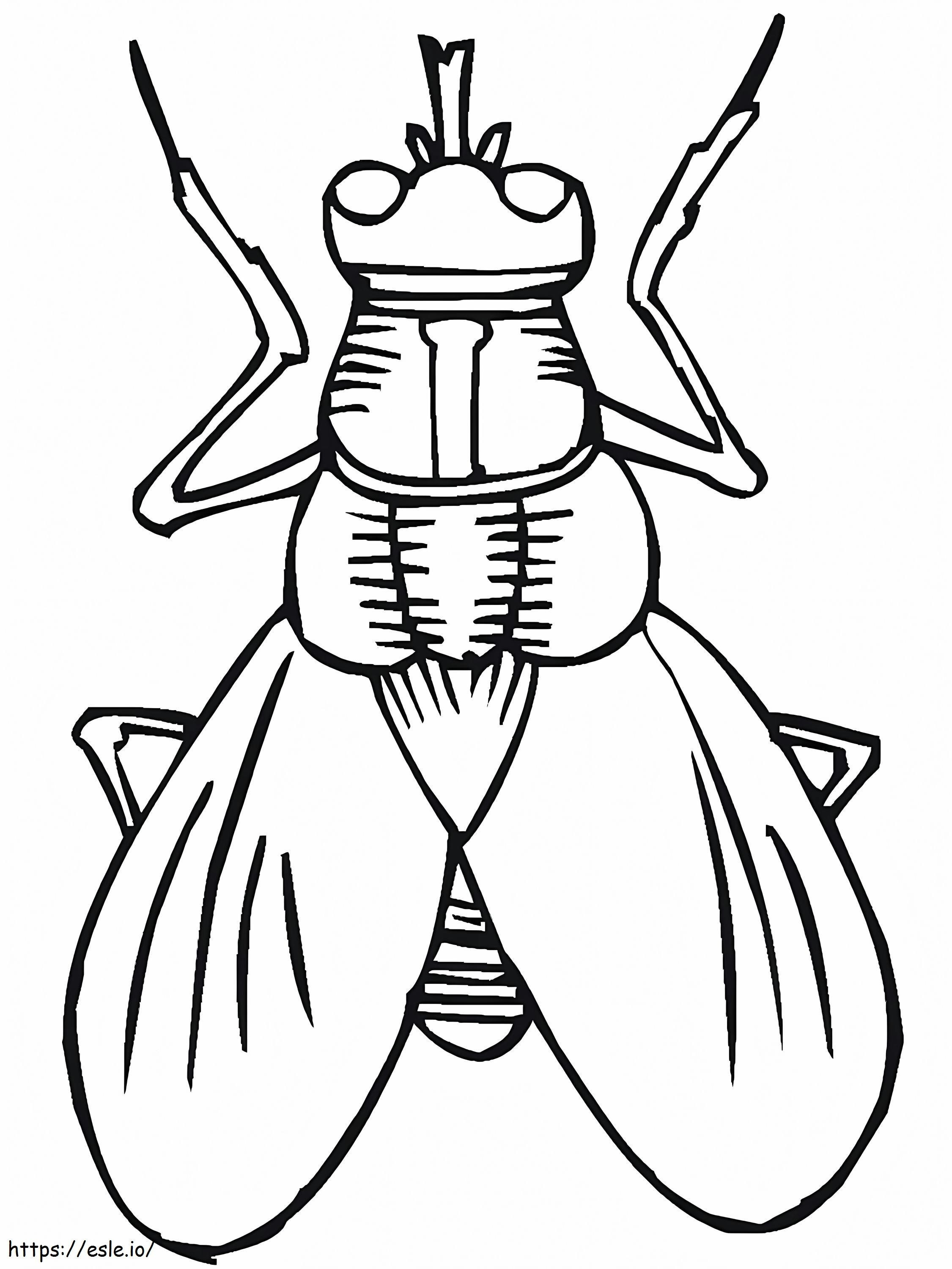 Flies coloring page