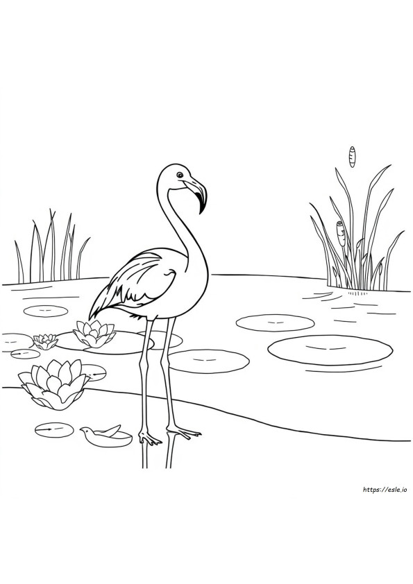 Flamingo Värityskuvat Pdf