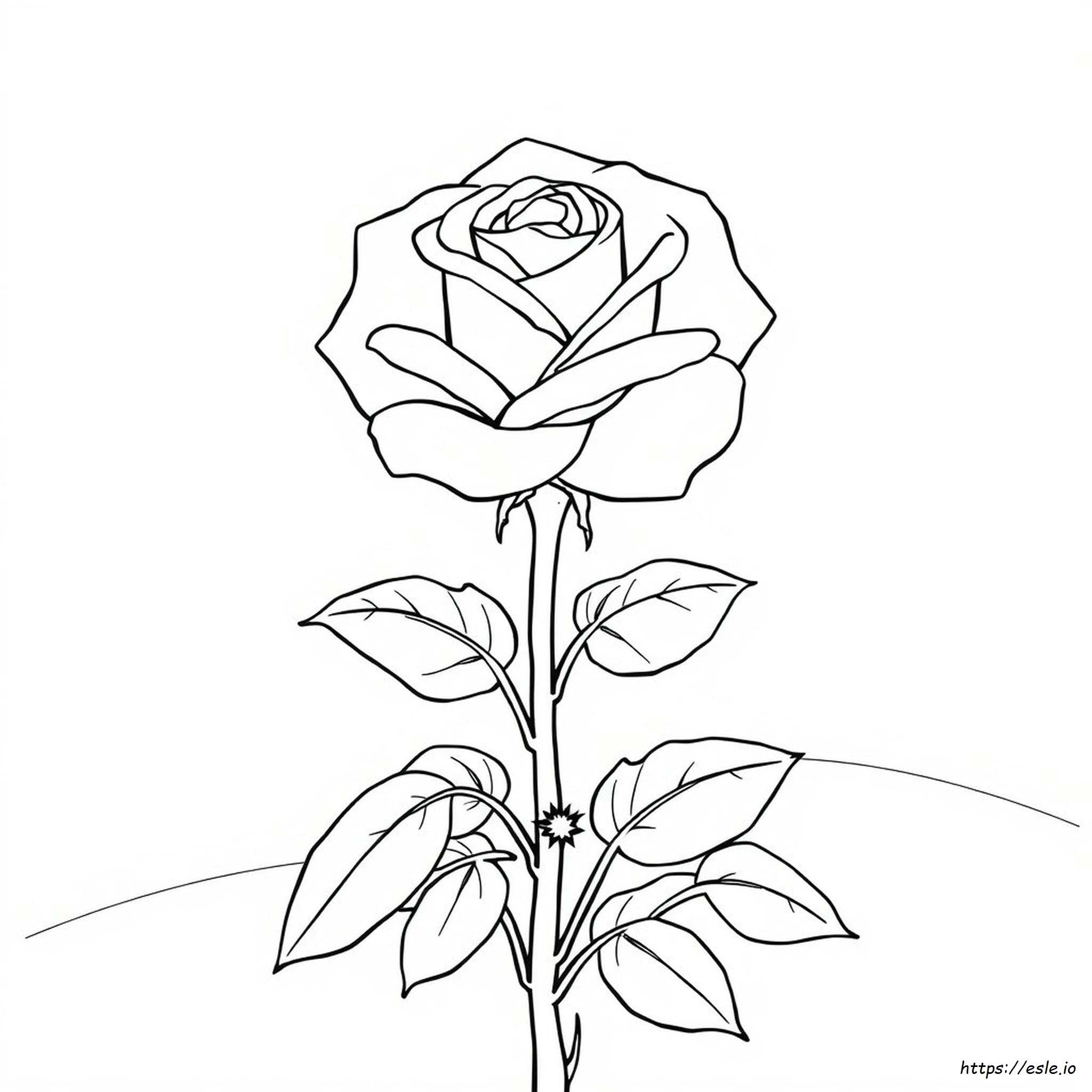 Big Rose Coloring Pages