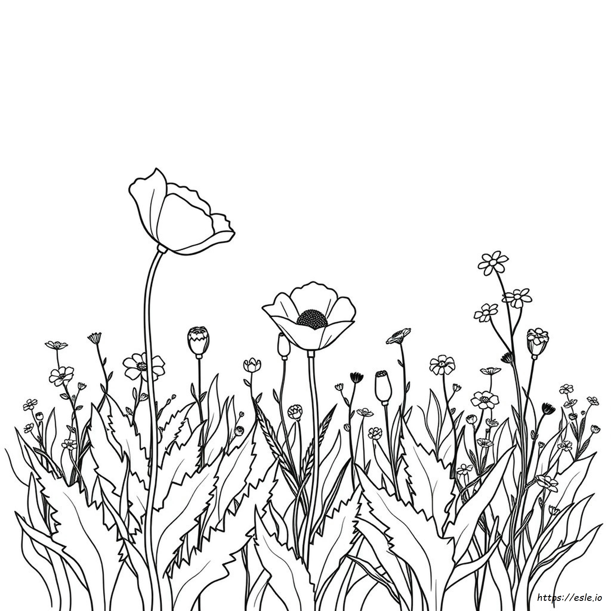 Poppy Coloring Page