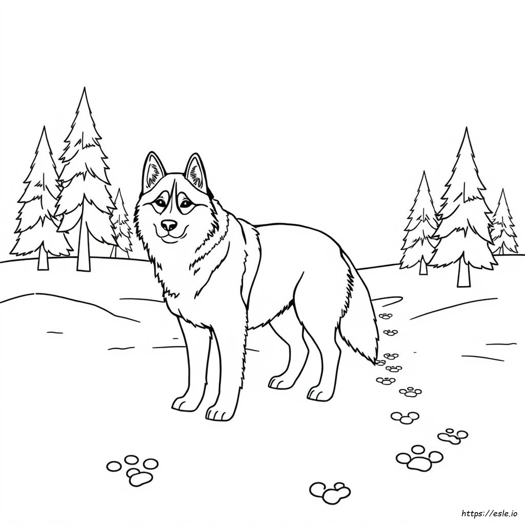 Perro Husky De Alaska Para Colorear