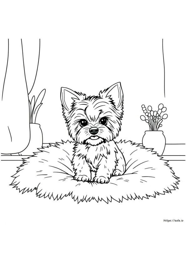 Gambar Mewarnai Yorkie Lucu