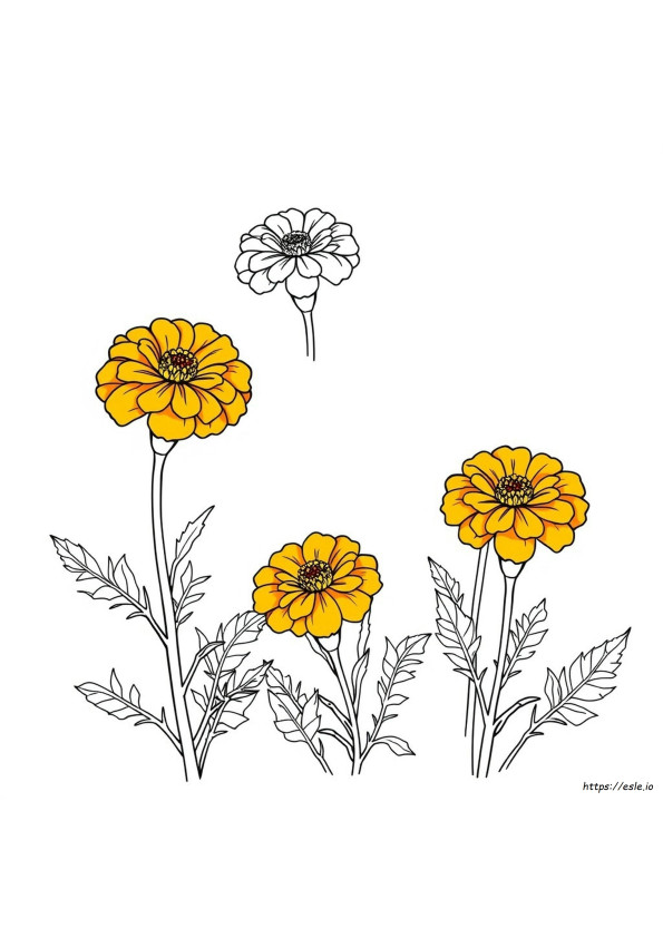 Apa Warna Marigold Yang Umum?