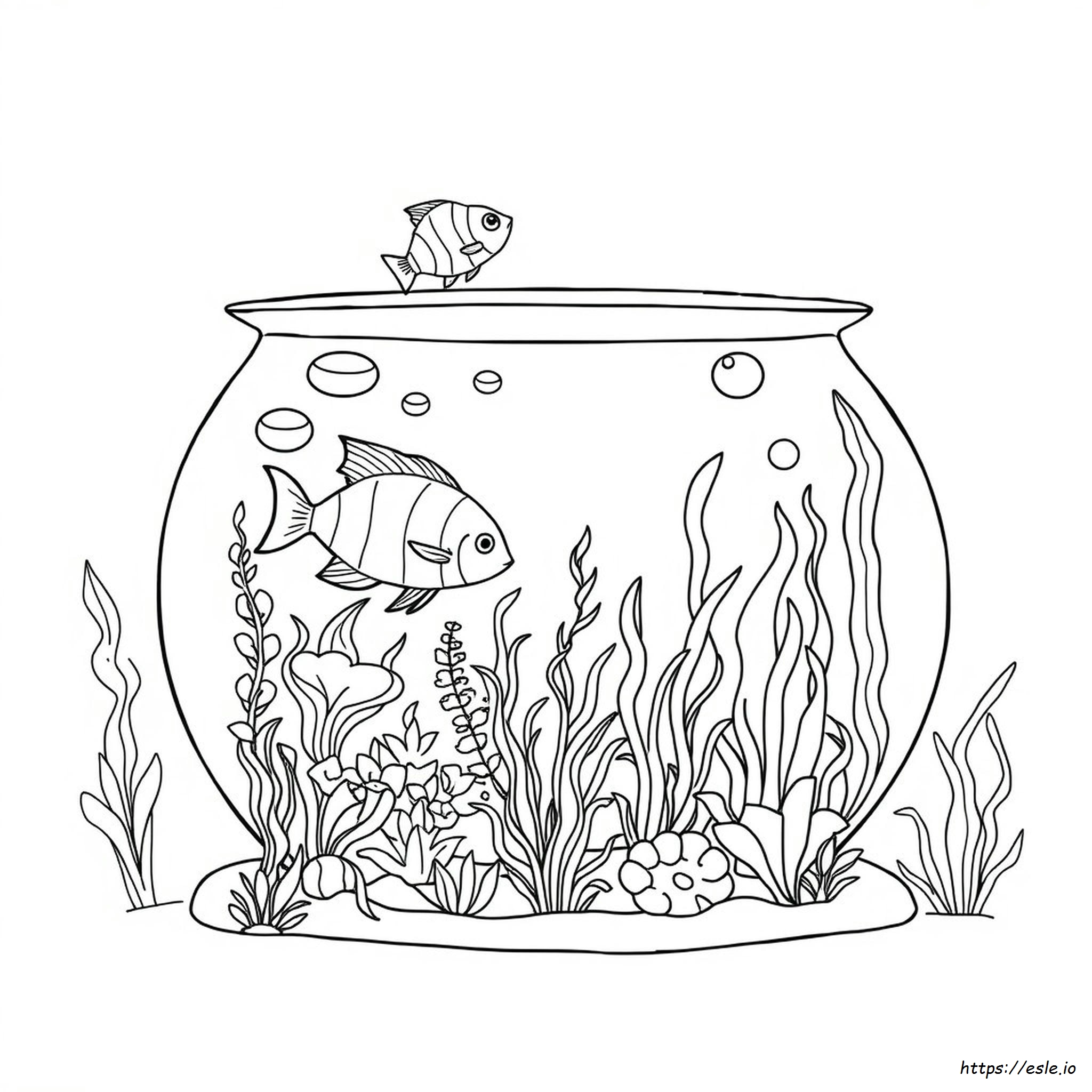 Aquarium For Coloring