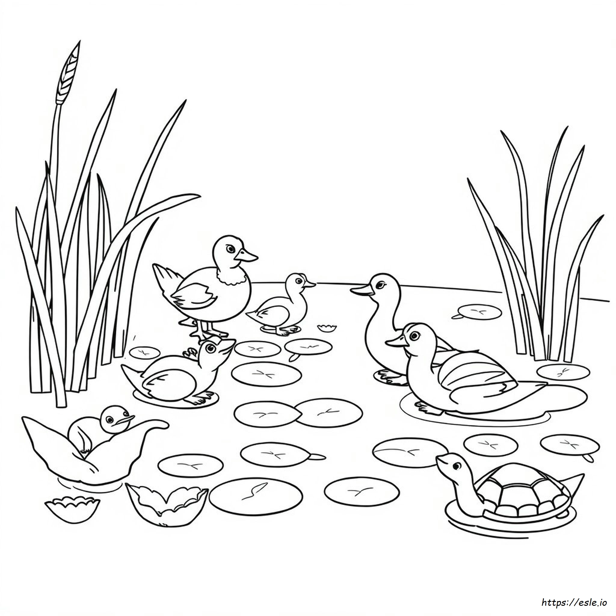 Animales De Humedales Para Colorear