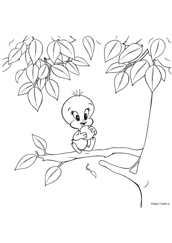 Free Coloring Pages Tweety Bird