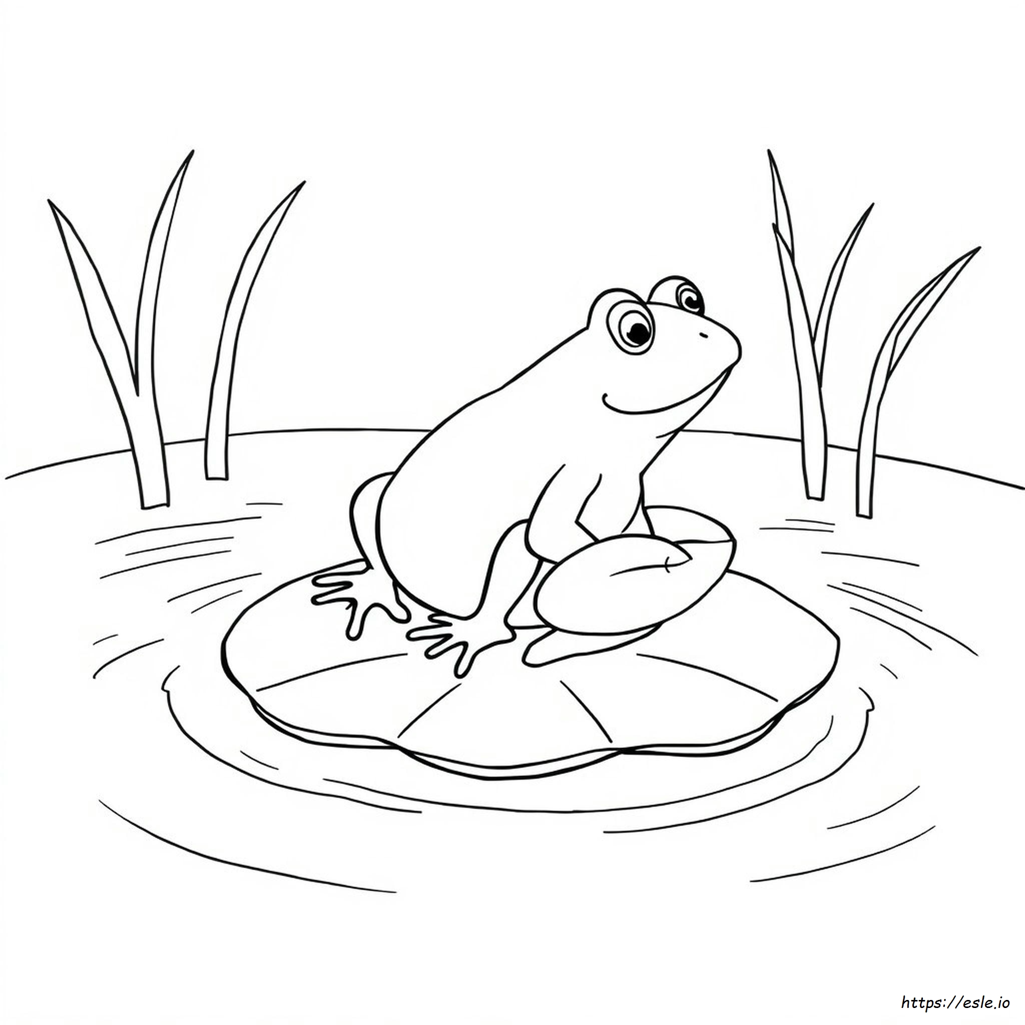Coloring Book Pages Of Frogs