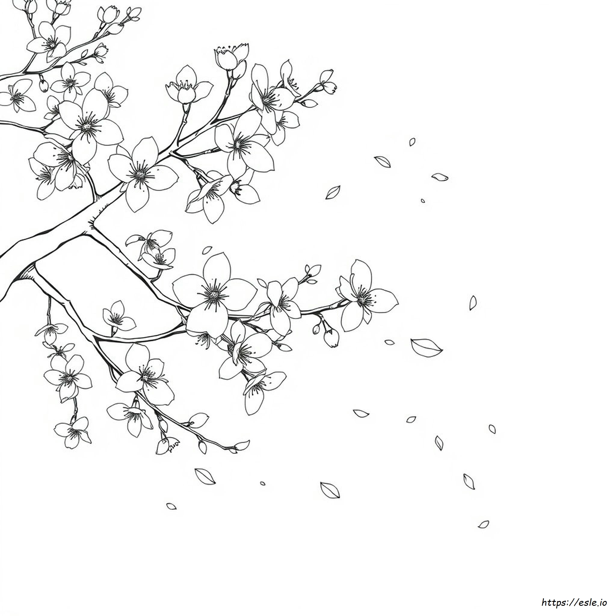Cherry Blossom Colouring Pages