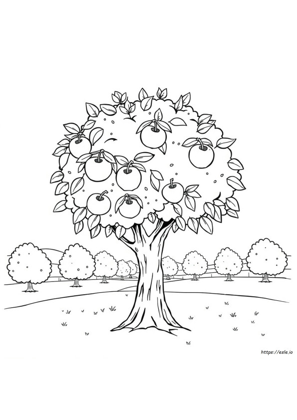Apple Tree Colouring Page