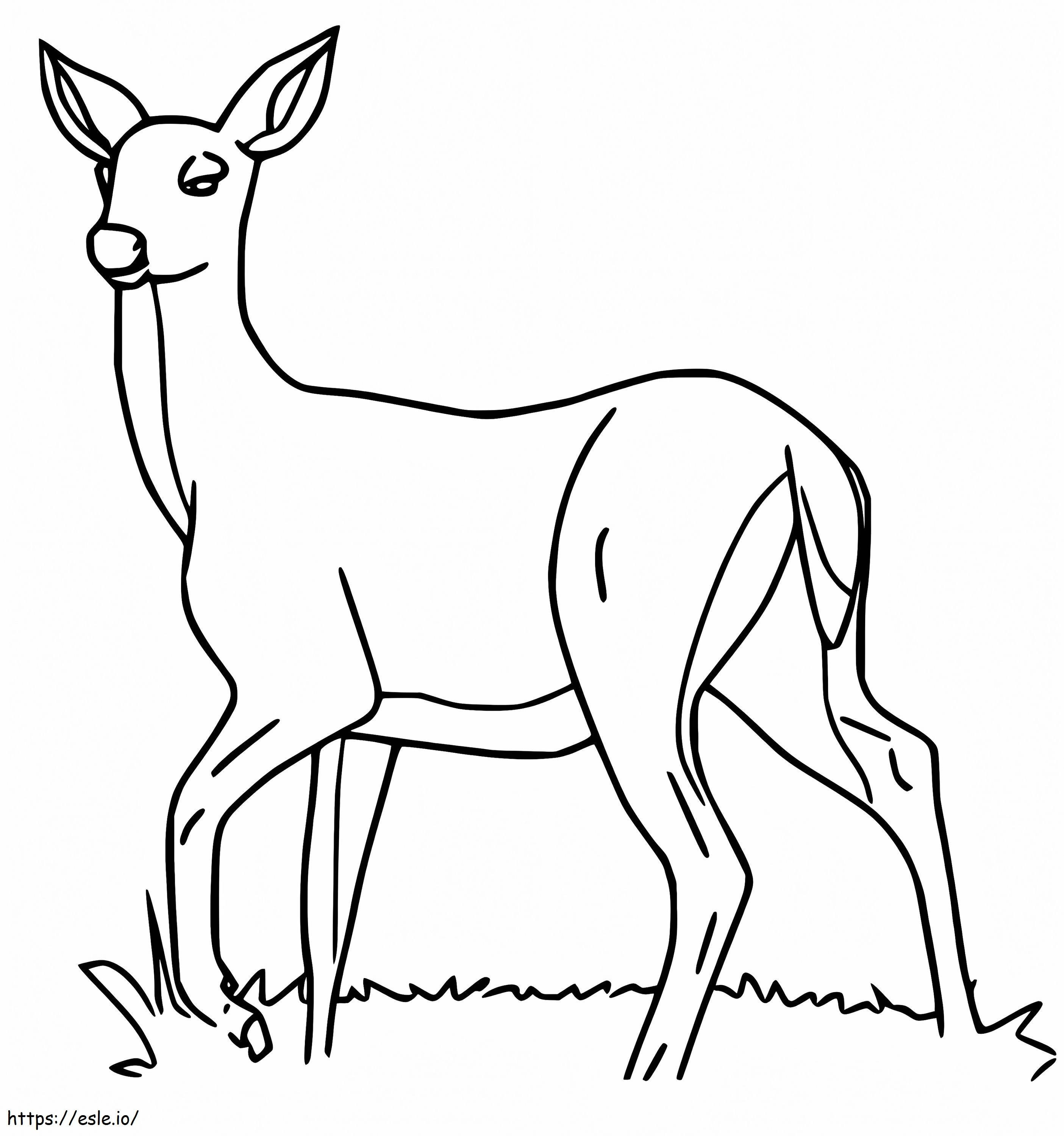 Female Red Deer coloring page