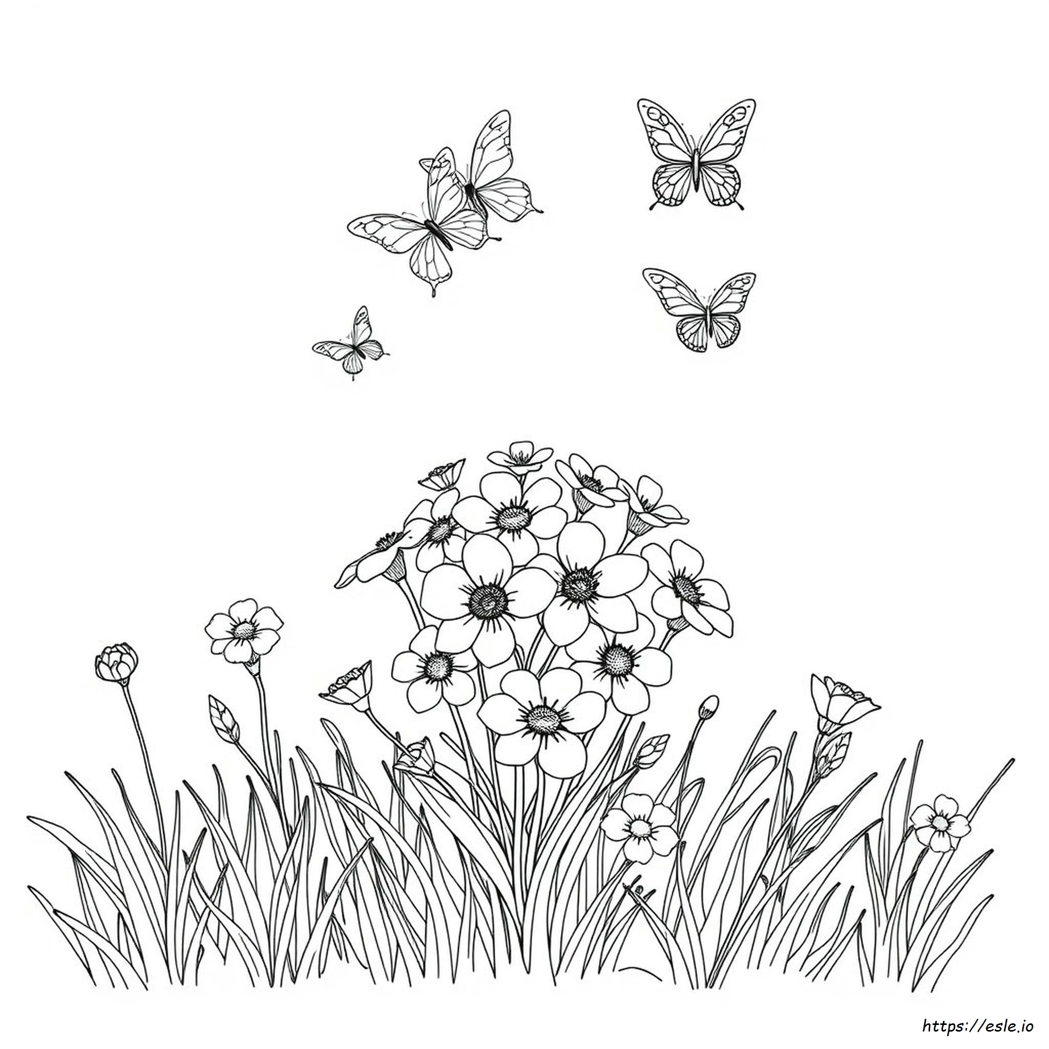 大人の花塗り絵 大人向け 花のぬりえ 無料ダウンロード