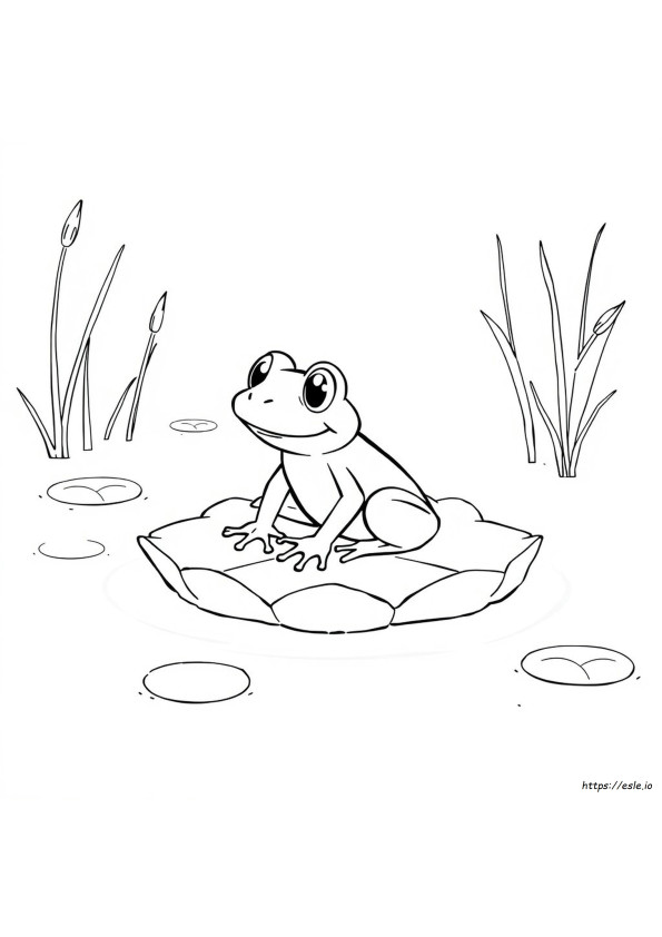 Halaman Mewarnai Anak Katak