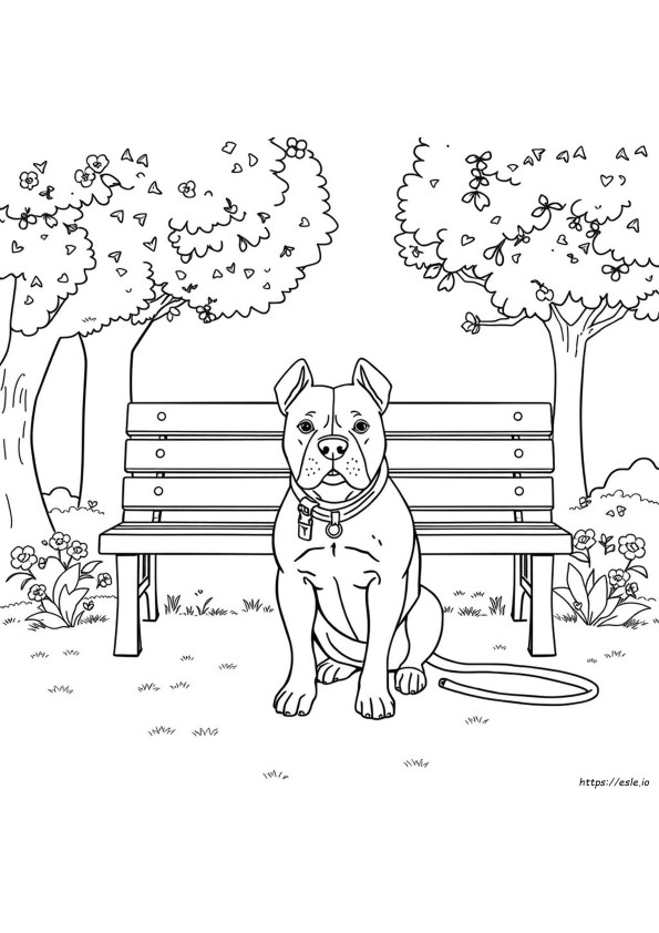 Gambar Mewarnai Pitbull