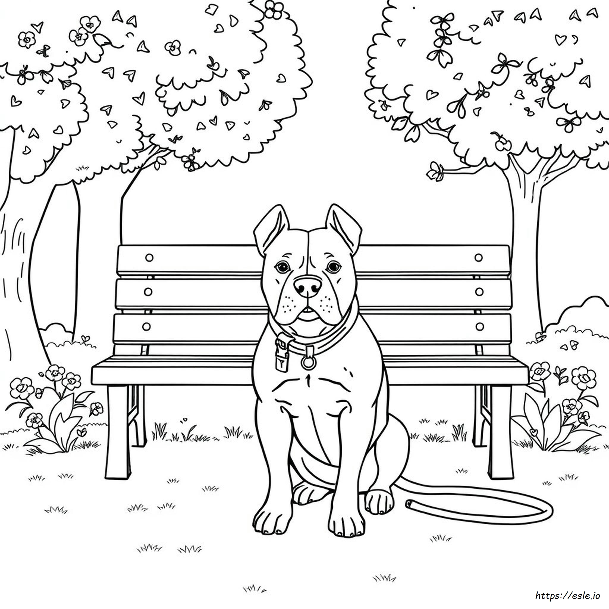 Dibujos De Pitbull Para Colorear
