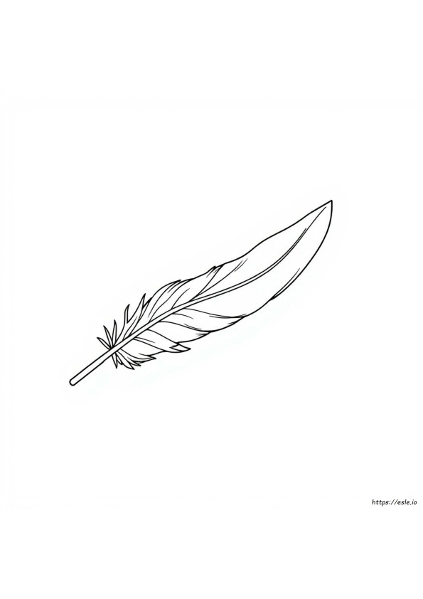 Feather Gambar