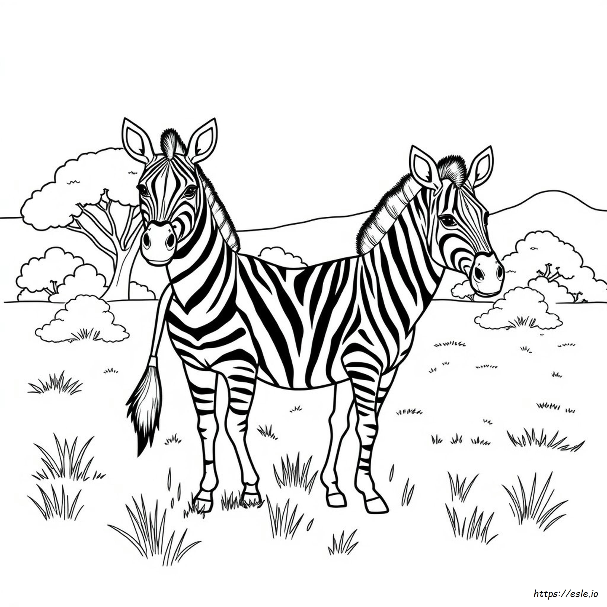 Coloring Picture Of Zebra