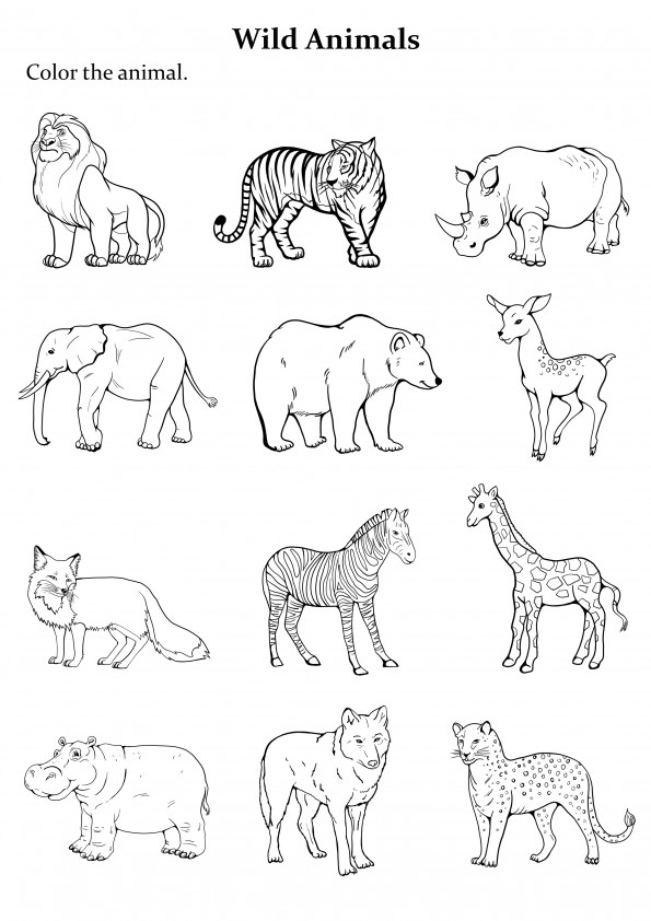 Dibujo de Grupo de 12 animales para colorear fácil de imprimir
