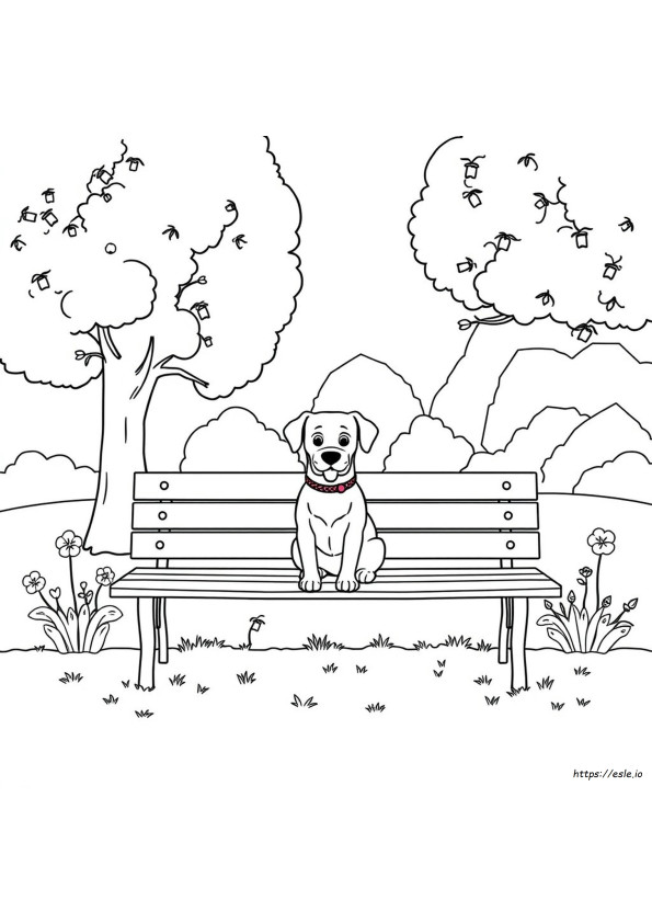Köpek Boyama Sayfaları