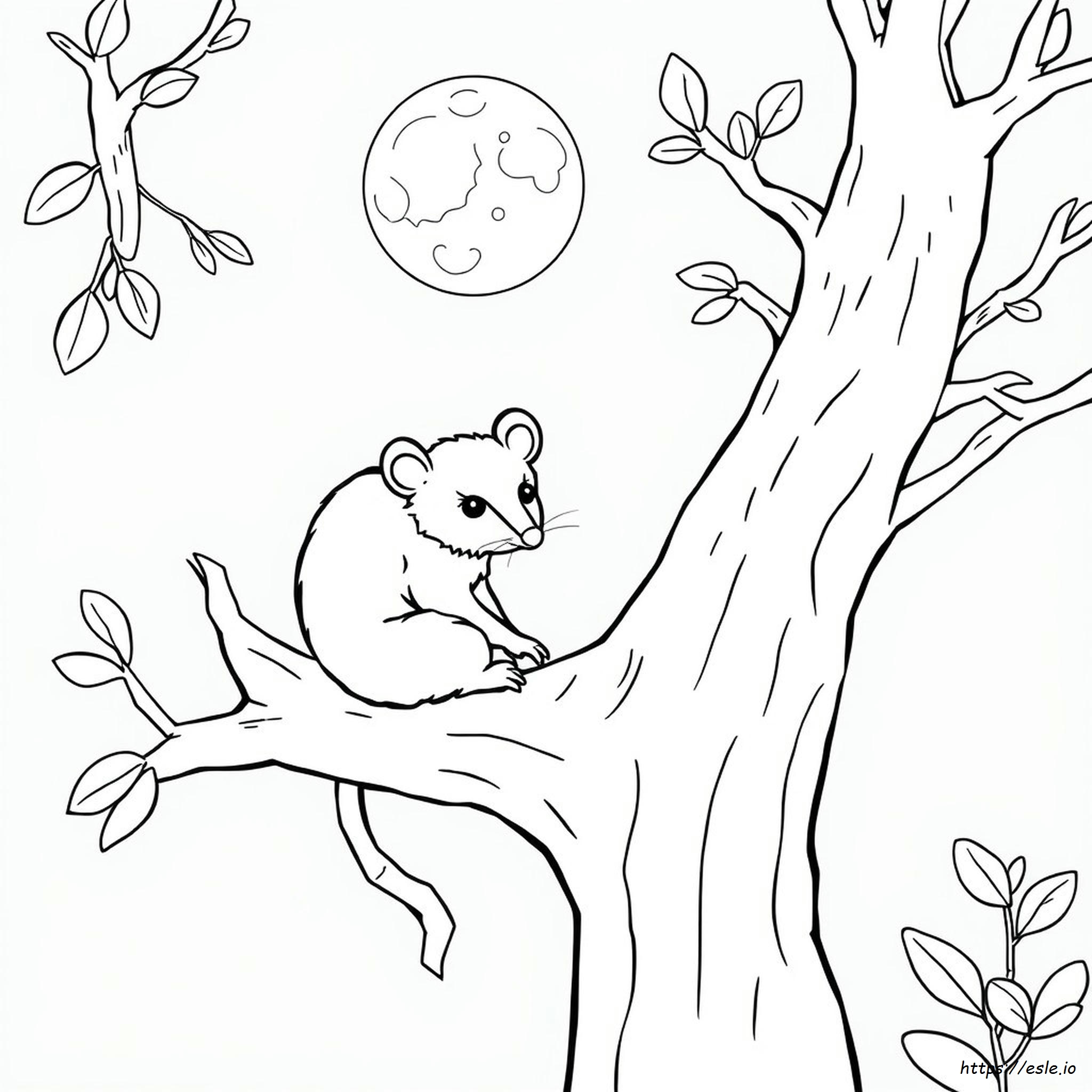 Son Ciegos Al Color Los Possums