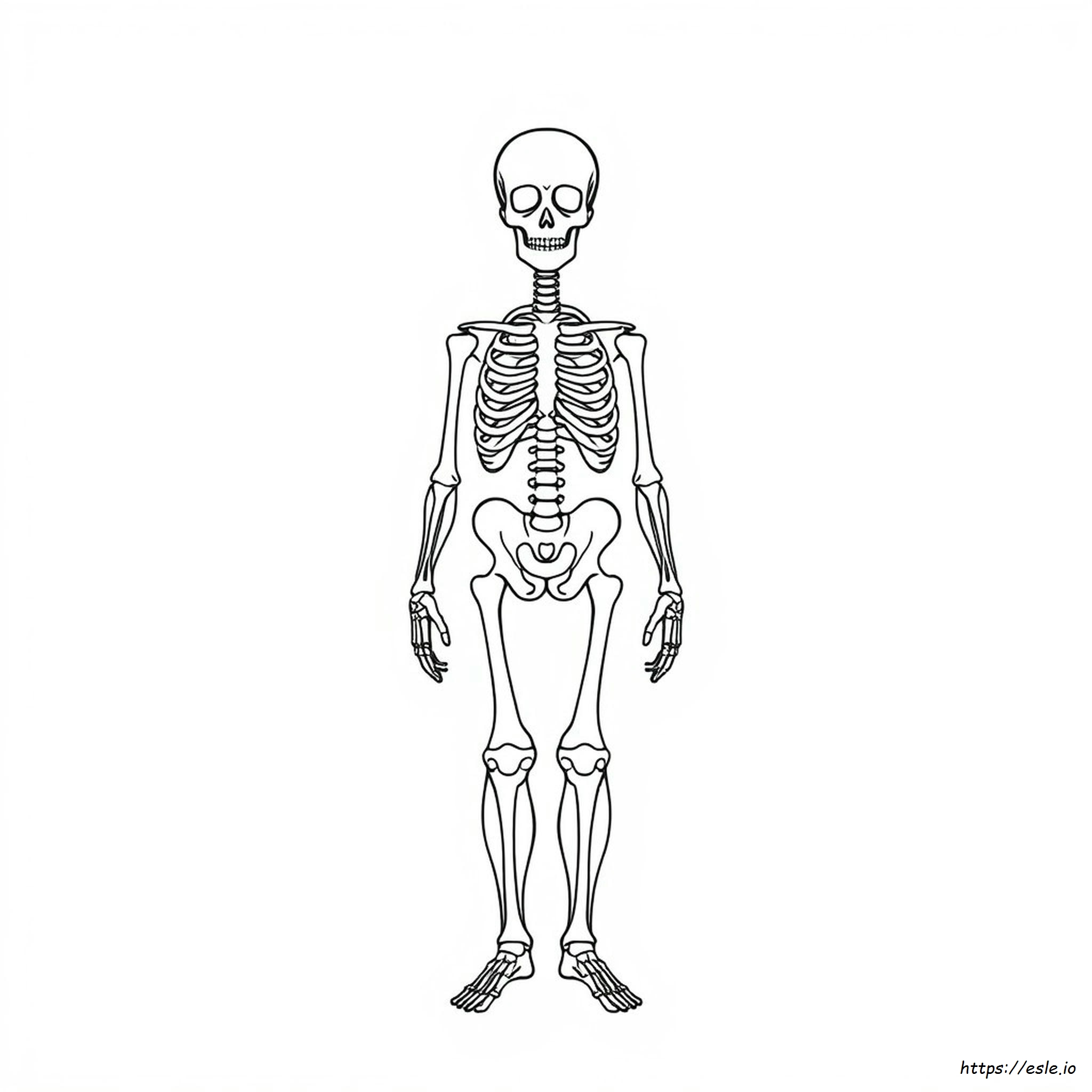 Anatomy And Physiology Coloring Workbook Page 118