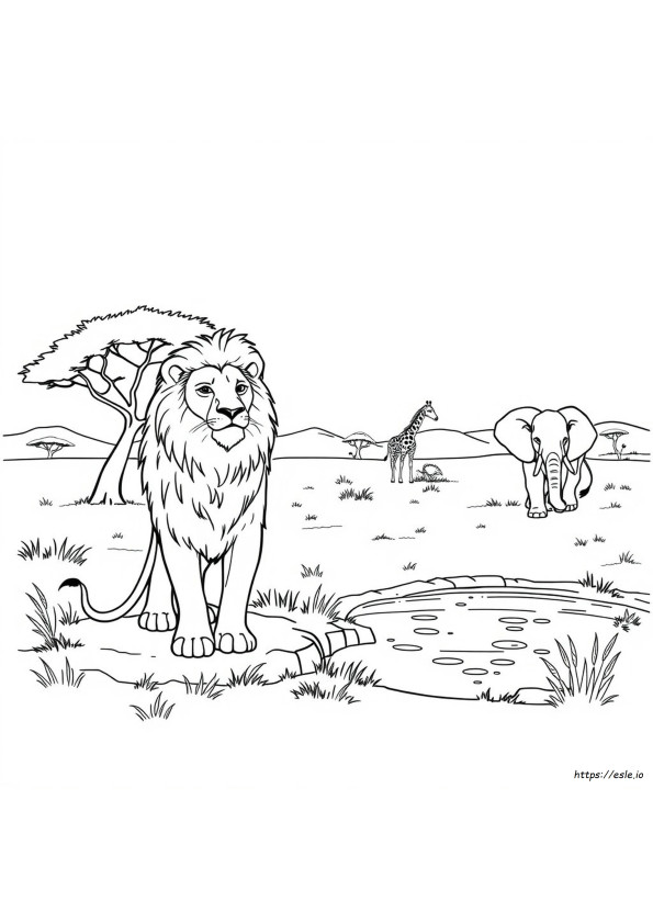 Coloriages D'animaux Africains