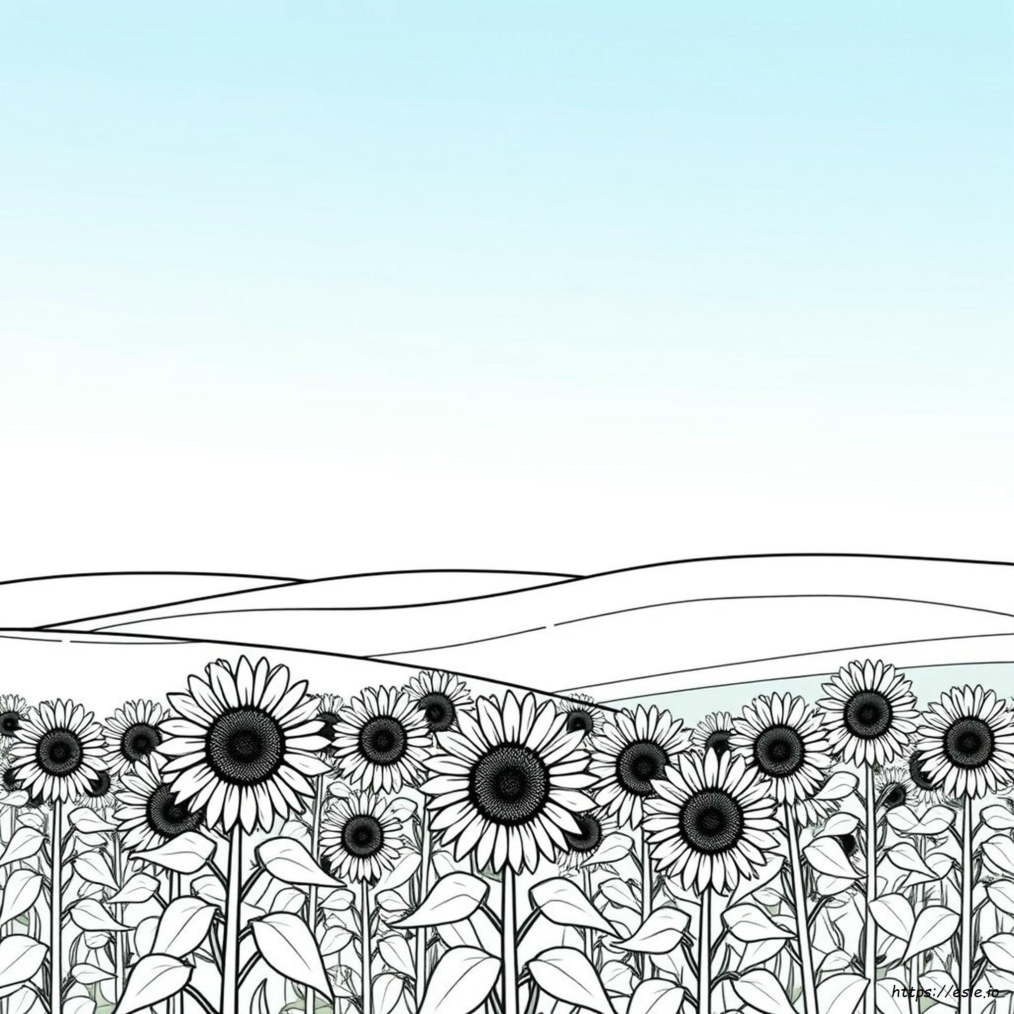 Girasoli Da Colorare Per Adulti