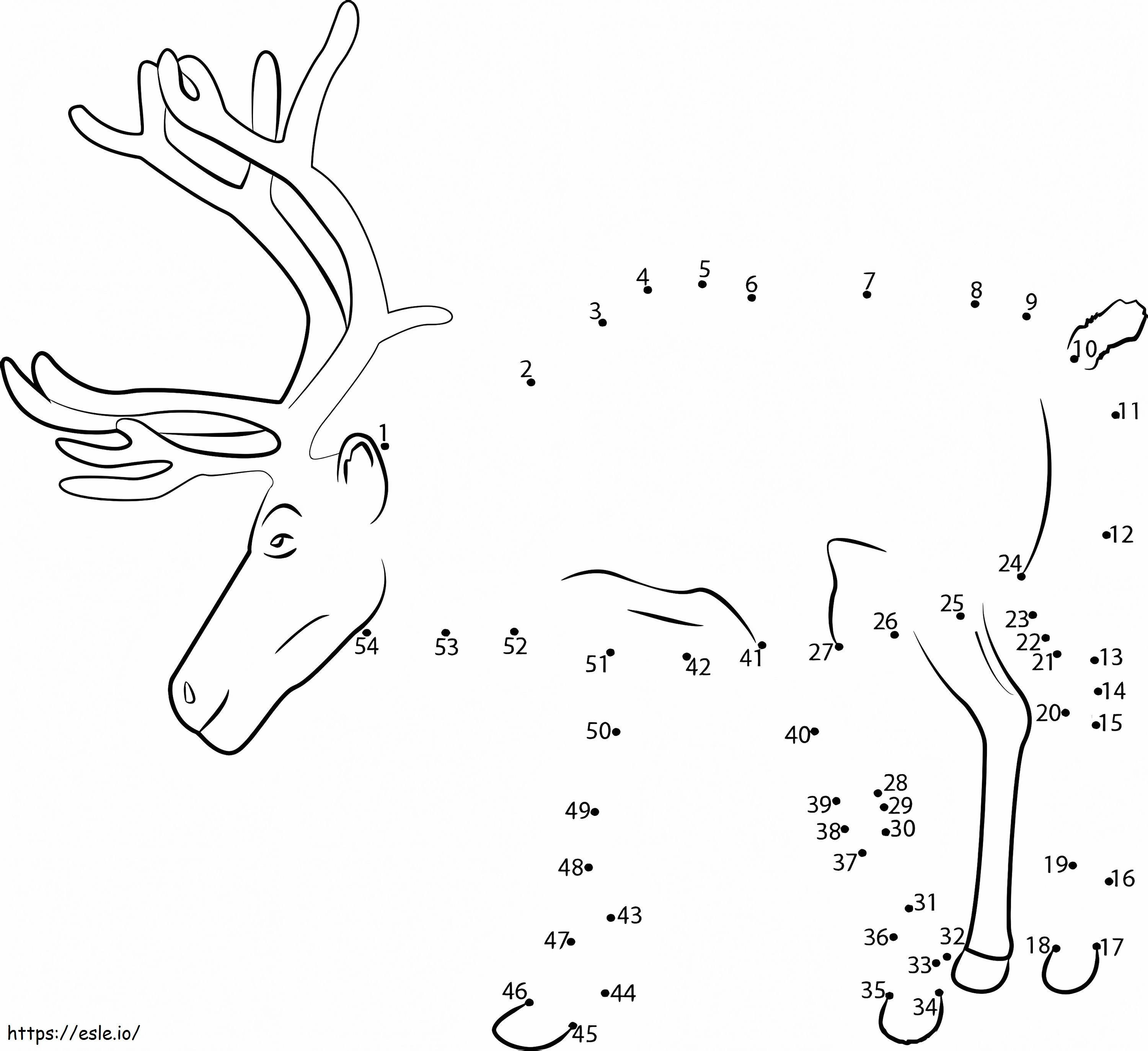 One Reindeer Dot To Dots coloring page