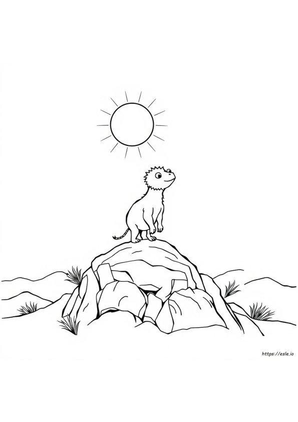 Coloriages Animaux Étranges