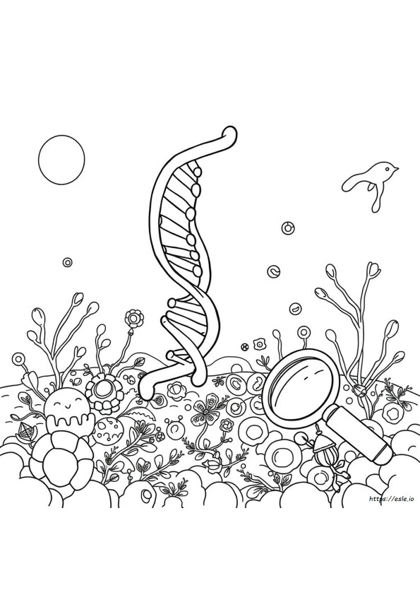 Coloriage Biologie