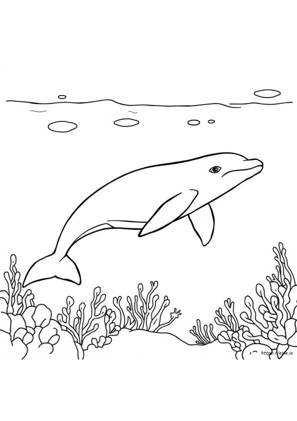Gambar Mewarnai Paus Beluga
